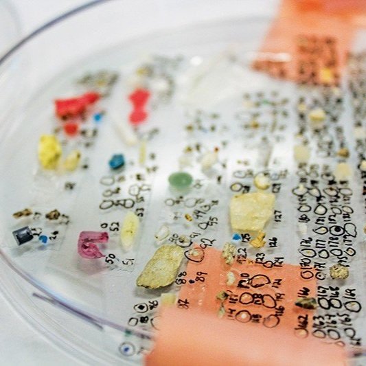What is the problem with Microplastic? - Part 2